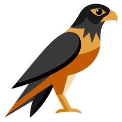 Modern Falcon Vector Style on White