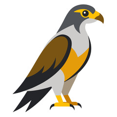 Modern Falcon Illustration on White