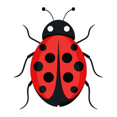 Modern Ladybug Vector Style on White