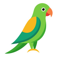 Modern Parakeet Vector Style on White
