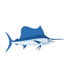 Illustration of a blue and white sailfish with a large dorsal fin.