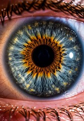 Intricate Eye: Blue, Gold, and Shadow Detail
