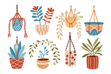 Artistic Garden Assortment: An array of hanging planters showcases a variety of botanical life forms, their colorful design radiating a contemporary atmosphere and visual elegance.