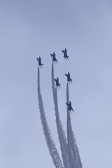 ブルーインパルス大空に舞う