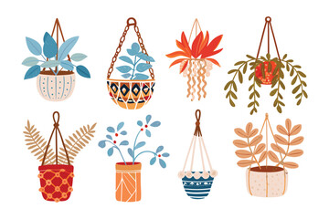 Hanging Plants Collection: A visually appealing collection of diverse, hanging plants, each carefully potted in distinct and stylish containers. Displaying a range of textures, colors, and forms.