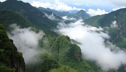 Obraz premium Brazil’s Pico Paraná offers views of thick cloud forests cascading into steep valleys. Layers of mist hover over jagged peaks and green ridges. 