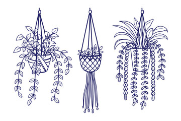 Hanging Plants Line Art: Three line art depictions of hanging plants, each showcasing unique botanical species in woven planters, evoking a sense of indoor garden design, nature, and simplicity.