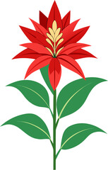 Cardinal Flower