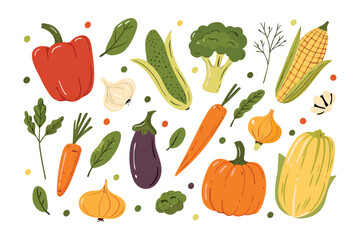 Assortment of Garden's Bounty: A vibrant collection of freshly harvested garden vegetables arranged, showcasing nature's colorful palette and diversity.
