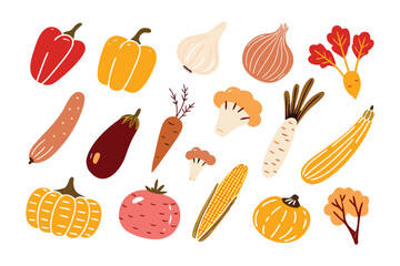 Colorful Harvest: A vibrant assortment of fresh, organic vegetables, bursting with color and representing the bounty of a successful harvest.