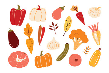 Vibrant Vegetable Harvest: A lively assortment of fresh, colorful vegetables, meticulously arranged, embodies the essence of health, nutrition, and culinary creativity. 