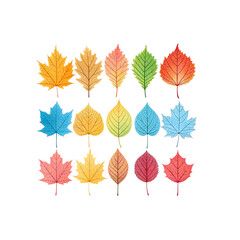 Fototapeta premium set of autumn leaves on transparent background 