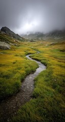 Mountain stream winding through a grassy meadow, overcast sky