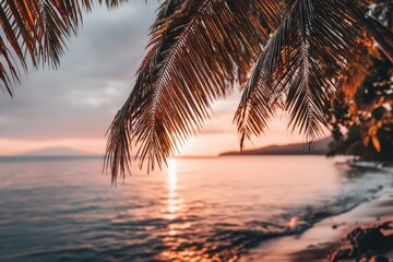 Fototapeta premium Palm fronds frame sunset over tranquil ocean