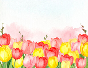 Watercolor illustration featuring a vibrant arrangement of red and yellow tulips. Delicate pink hues fill the background.