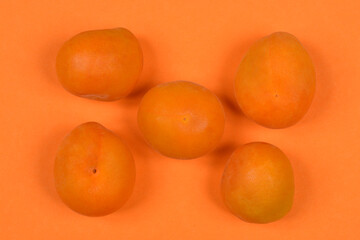 Five ripe, orange apricots are loosely scattered across a vibrant orange background, showcasing their natural, slightly varied shapes