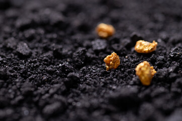 Pure gold from the mine that was unearthed was placed on the black soil