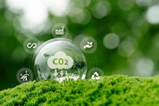 CO2 sustainability renewable recycle green energy concept. glass globe on moss for carbon emission reduction and eco-friendly environmental protection. CCS, carbon capture to net zero - Powered by Adobe