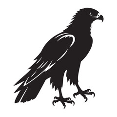 Striking Hawk Silhouette – Hawk Vector Artwork Depicting Graceful Hunting Bird – Hawk Illustration – Bird Silhouette – Silhouette of Hawk

