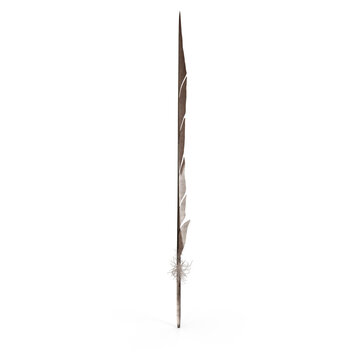 Dark brown bird feather with light stripes, isolated on transparent background

