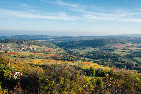 Paysage de vignes en Bourgogne. Vignoble de Beaune. Vins de la C&ocirc;te d'Or. Panorama de viticulture en automne. Parcelles de vignes automnales. Couleurs de l'automne