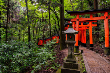 A torii path across the Inari mountain at Fushimi Inari-taisha. Beautiful Japanese landscape. Kyōto, Japan.