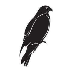 Obraz premium Premium Broad-Wing Kite Silhouette – Kite Vector Art Depicting Refined Raptor Form – Kite Illustration – Bird Silhouette – Silhouette of Kite