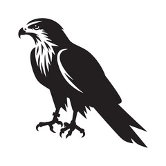 Fototapeta premium Sleek Kite Silhouette – Kite Vector Graphic Highlighting Streamlined Predator Shape – Bird Silhouette – Black Vector of Kite