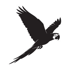 Long Tail Macaw Silhouette – Macaw Vector Art Capturing Sleek Exotic Profile – Macaw Illustration – Bird Silhouette – Silhouette of Macaw

