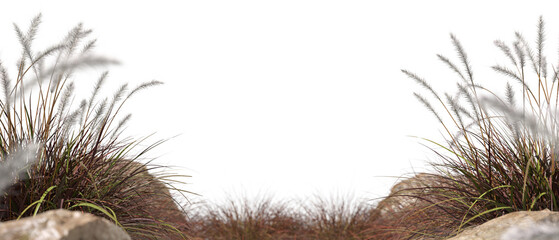 Savanna feathers floral grass fields on transparent backgrounds 3d illustrations png