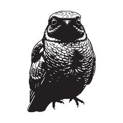 Artistic Nightjar Silhouette – Nightjar Vector Art Capturing Unique Wildlife Profile – Nightjar Illustration – Bird Silhouette – Silhouette of Nightjar

