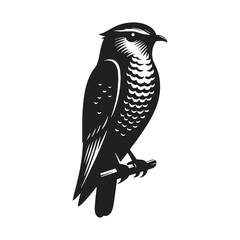 Refined Nightjar Silhouette – Nightjar Vector Graphic with Clear Outline and Long Wings – Bird Silhouette – Black Vector of Nightjar

