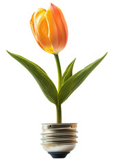 Vibrant tulip grows from metallic bulb socket, symbolizing innovation and sustainability. orange petals and green leaves contrast with industrial base, creating striking visual metaphor, isolated