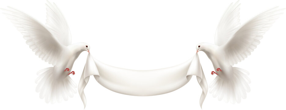 Doves of peace holding a banner: Two pristine white doves gracefully soar, each carrying a blank banner, symbolizing unity, peace, and hope. A perfect illustration for messages of harmony.