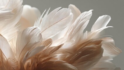 Delicate, light beige and tan feathers in a close-up, soft-focus arrangement