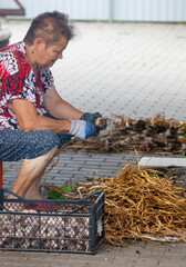 A woman is sitting on a stool and working with some plants