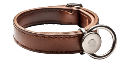 A dog collar made of durable and elegant material isolated on a transparent background. PNG