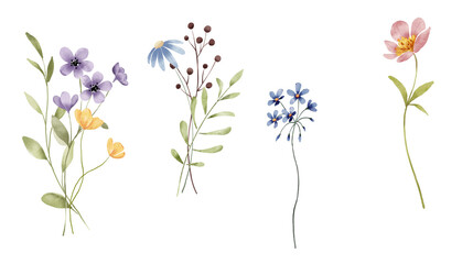 Quartet of Watercolor Flowers Collection: An Illustrative Mosaic of Botanical Beauty and Grace