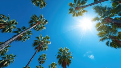 Palm trees reaching towards a bright sunlit sky
