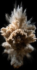 Exploding beige and off-white powder cloud against black