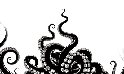 Black and white octopus tentacles illustration