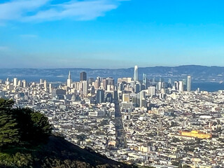 A city view from a hilltop with a tree in the foreground