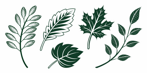 Green leaf silhouettes – clean and crisp vector art.