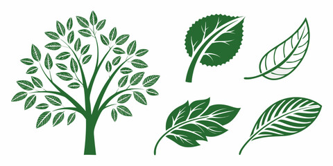 Fresh green vector leaves for organic product design.