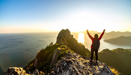 Conquering New Heights: A triumphant figure stands atop a rugged mountain peak, arms raised towards the radiant sky, embodying the spirit of achievement and the allure of exploration.