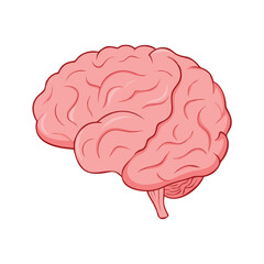 Cartoon Human Brain Illustration in Pink Color for Medical, Educational, and Science Design Concepts