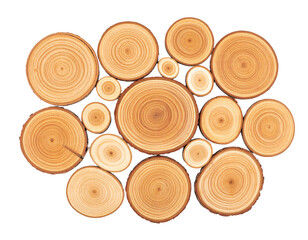 Tree Ring Pattern Isolated on White Background