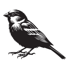 Gentle Sparrow Silhouette – Sparrow Vector Graphic Showing Subtle Bird Profile – Bird Silhouette – Silhouette of Sparrow

