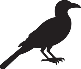 Sequential series vector of crow flying on white background
