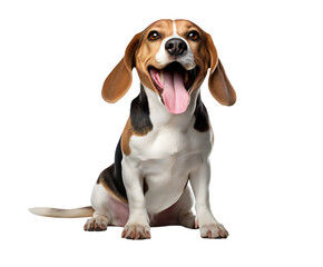 Adorable beagle dog with expressive face, tongue out and happy expression sitting on transparent background